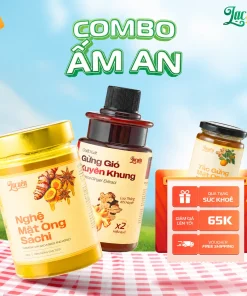 COMBO ẤM AN - Gừng Gió Xuyên Khung + Nghệ Mật Ong Sachi + Kèm Quà Tặng